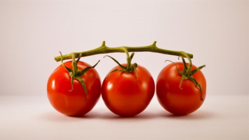 Suportes de caules auxiliam horticultura