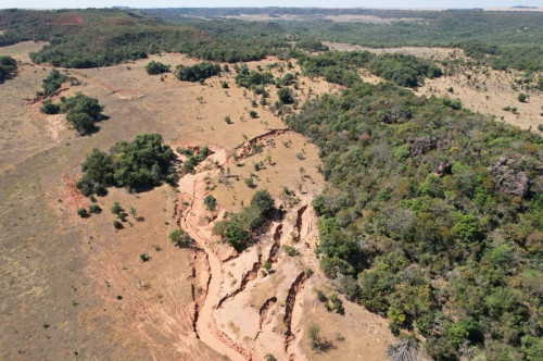 Com R$ 6,7 milhões, Rio Taquari no MS recebe projeto de restauração ecológica