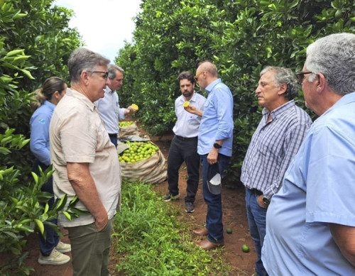 Equipe da Semadesc visita propriedade de citricultura e indústria de suco em Bebedouro-SP