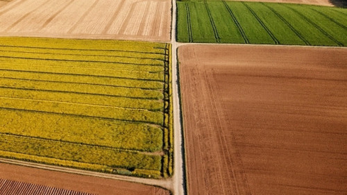 É possível reduzir o imposto na venda de terra?