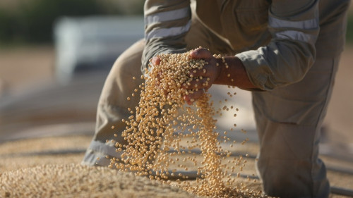 Mercado internacional em baixa pressiona commodities