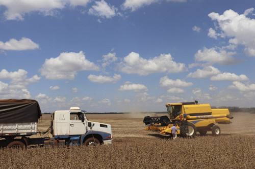 Rondônia lidera crescimento agrícola