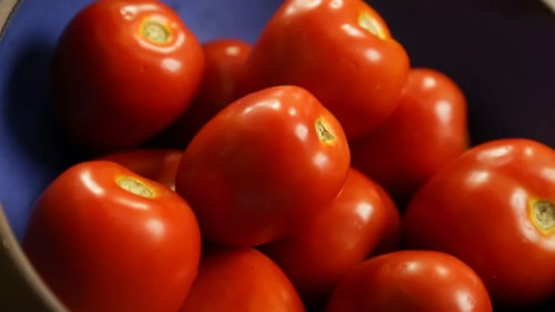 Fertilizante biotecnológico promete ganhos em produtividade