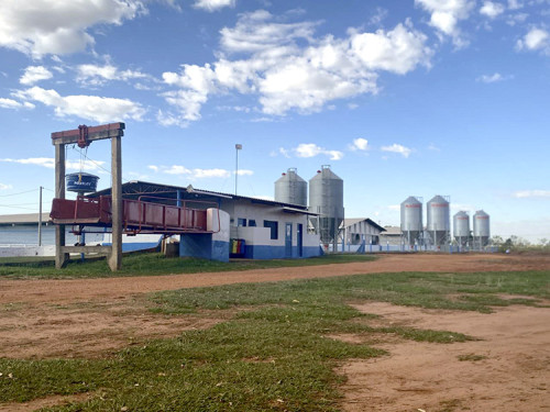 Asumas dá início às auditorias do PAS e do Leitão Vida em granjas de Mato Grosso do Sul