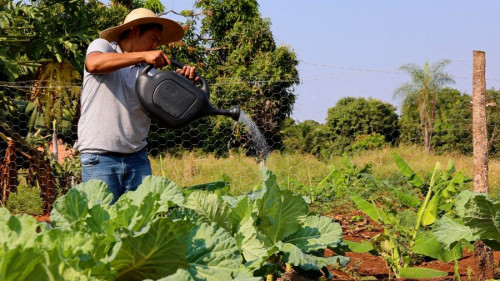 Com o Senar/MS, a terra virou sustento e orgulho para comunidade em Miranda
