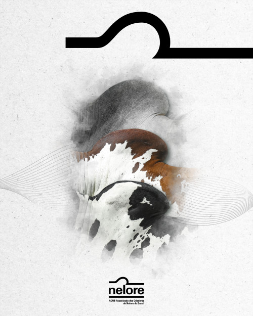 17 de julho é o Dia Internacional do Nelore. Data é criada pelas associações de criadores do Brasil e do Paraguai