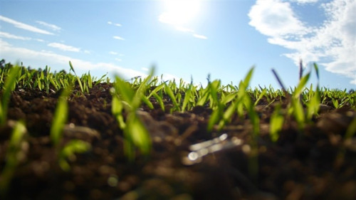 Manejo de solo passa a fazer parte do Zoneamento de Risco Climático da soja