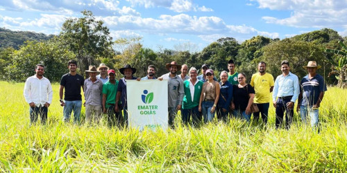 Na Semana da Agricultura Familiar, Emater Goiás divulga diagnóstico com principais desafios do setor