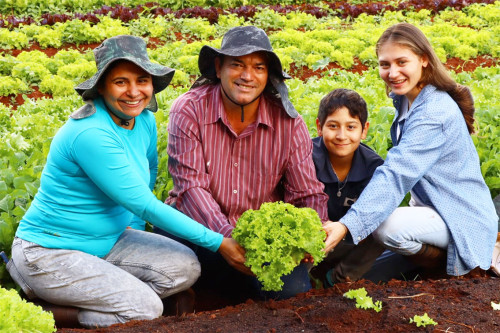 Agricultura familiar de MS movimenta R$ 5,1 milhões em 6 meses