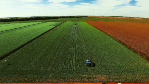 No dia do agricultor, celebramos quem cultiva o futuro do Brasil (e do mundo)