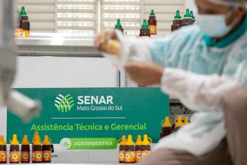 Senar/MS amplia assistência técnica e fortalece agroindústrias em Mato Grosso do Sul