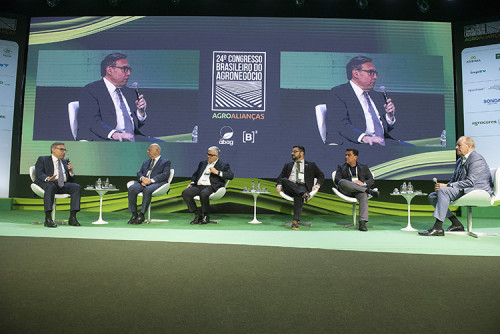 Brasil precisa de projeto nacional para liderar agenda verde