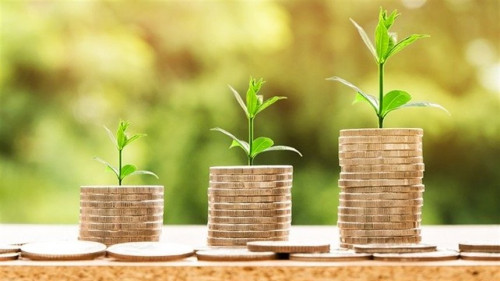 Relevância de marca no agronegócio: estratégia comercial, fidelização e valor sustentável