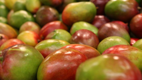 Brasil como destaque na produção de frutas