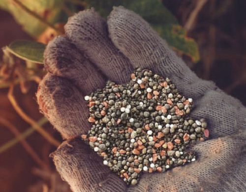 Mercado de fertilizantes mostra valorização da ureia