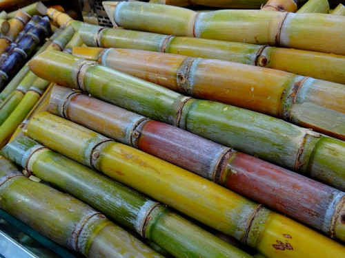 Brasil amplia mistura de biocombustíveis