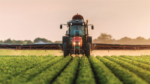 TJRS libera uso do 2,4-D e alivia produtores às vésperas da safra