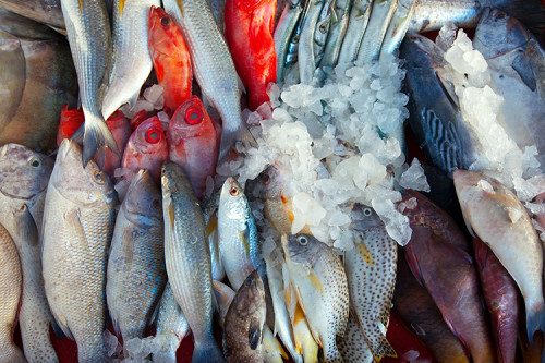 De peixe a café: Como a taxa dos EUA afeta a mesa do brasileiro