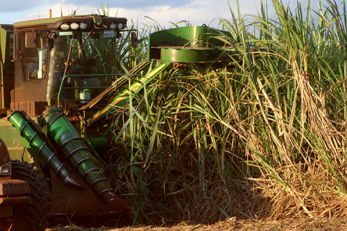 Implemento automatiza distribuição de tubos nos canaviais