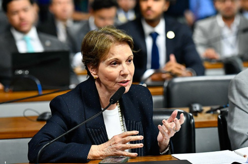 Tereza Cristina pede análise de vetos e Alcolumbre define data