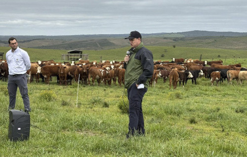 Companhia promove uso consciente de tecnologias e destaca a importância do planejamento sanitário com a Rota 360