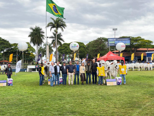 Casa Branca faz a Grande Campeã Nelore e é o Melhor Expositor da Expoinel, em Uberaba