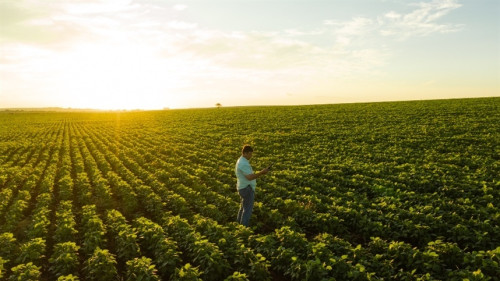 Brasil fortalece presença no agro global