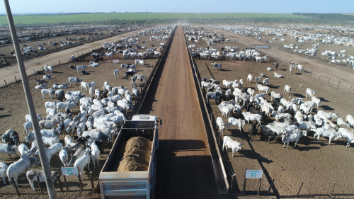 Parcerias de engorda consolidam confinamento como extensão das fazendas