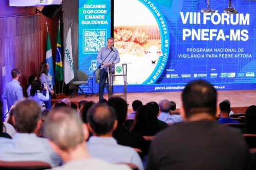 Pecuária livre de aftosa: o plano para acessar mercados premium