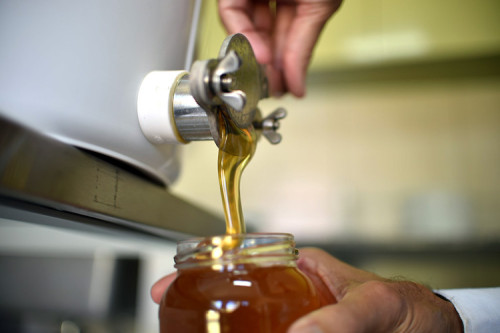 Exportação de mel cresce 31% mesmo com tarifa dos EUA