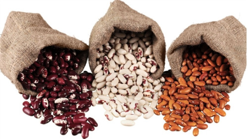 Preços do feijão seguem caminhos opostos no mercado brasileiro