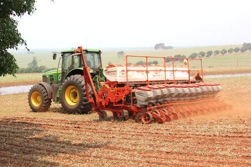 Levantamento indica avanço desigual da semeadura