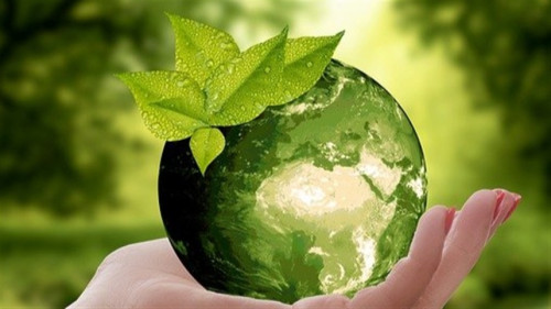 Estudo mostra hiato entre discurso e prática sustentável