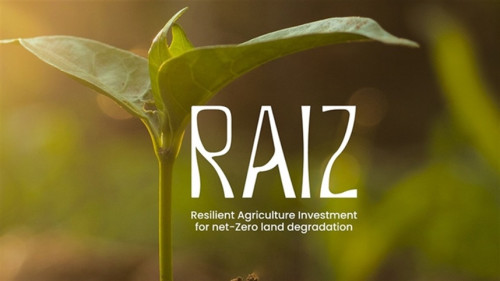 RAIZ: Brasil lidera plano global contra a degradação de terras