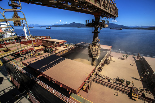 Embarques de soja em outubro crescem 43% e atingem marca histórica