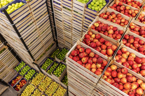Café, carne e frutas: EUA anunciam corte de tarifas de importação