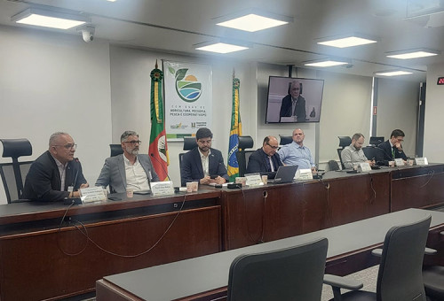 Crise do arroz: setor debate uso da CDO como subvenção no RS