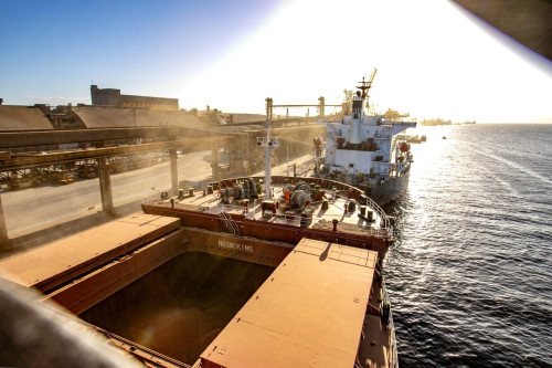 Soja: Brasil pode exportar 111 milhões de toneladas em 2026