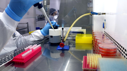 Setor agrícola exige controle de qualidade cada vez mais rígido