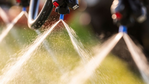 Como o glifosato atua nas plantas daninhas