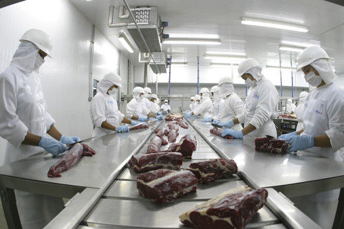 Mato Grosso bate recorde histórico na exportação de carne bovina