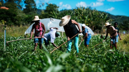 Especialista vê risco de envelhecimento rural