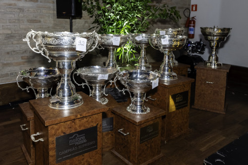 Nelore Fest 2025 reúne os vencedores do Ranking Nacional e do Circuito Nelore de Qualidade, em São Paulo