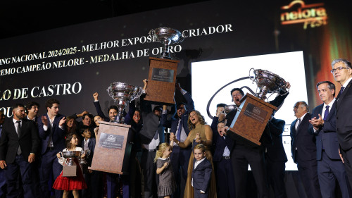 Destaques dos Rankings Nacionais da ACNB são premiados durante a Nelore Fest, em São Paulo