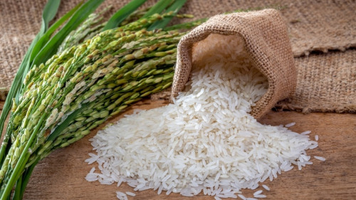 Produção de arroz no Brasil pode cair 12,4% na safra 25/26