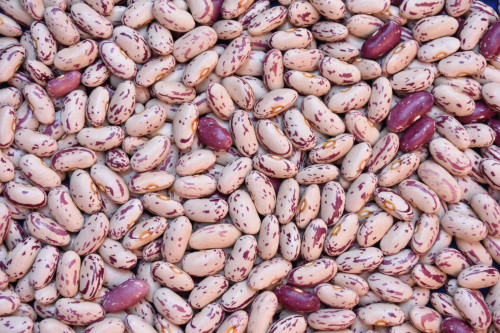 Mercado de feijão fecha ano com forte seletividade