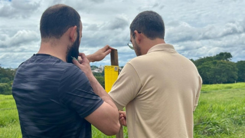 Rede Sentinela monitora cigarrinha no Triângulo Mineiro e São Paulo