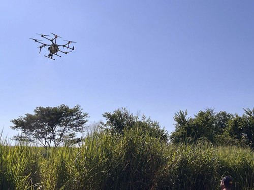 Projeto Brasil–França fortalece queijaria artesanal em São Paulo com criação de centros de referência