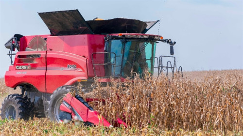 Eficiência na limpeza eleva valor dos grãos pós-colheita