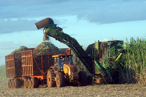 Avanço do plantio mecanizado eleva eficiência no canavial